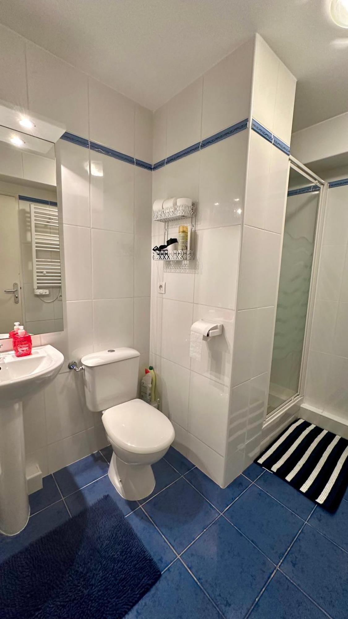 Appartements Du Pic D'Anie 아레트 외부 사진